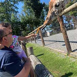 Al-Shebeeb at the zoo, feeding a giraffe.